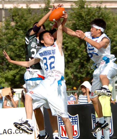 50吨植物油精炼设备