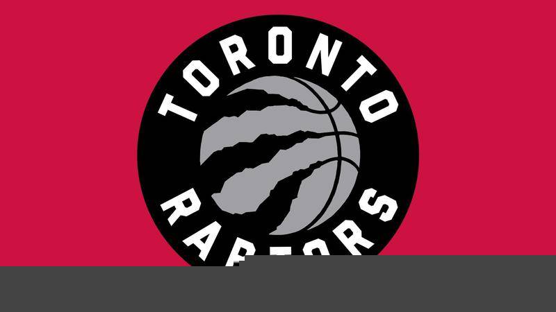 50吨植物油精炼设备