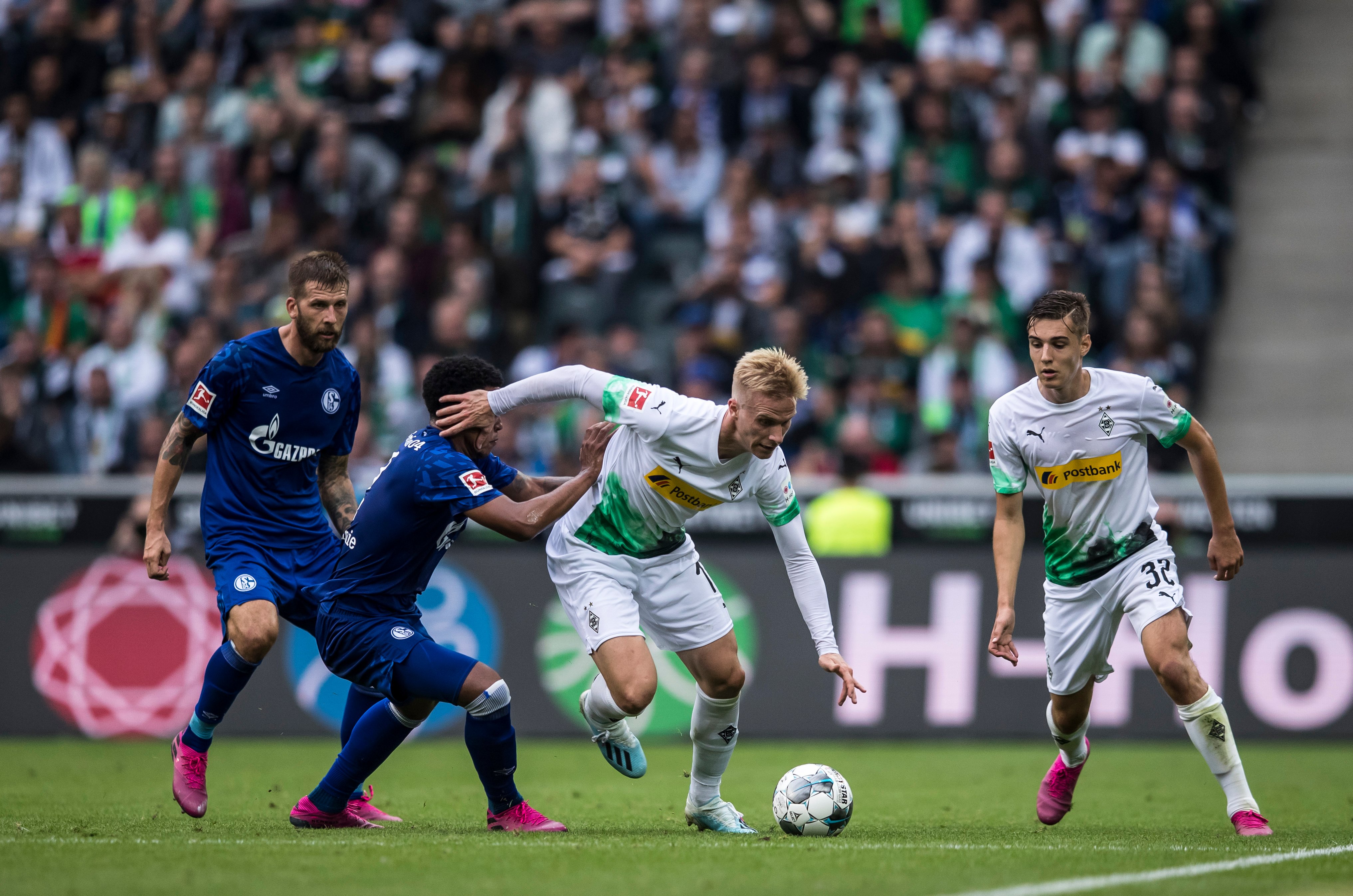 葵花籽榨油设备