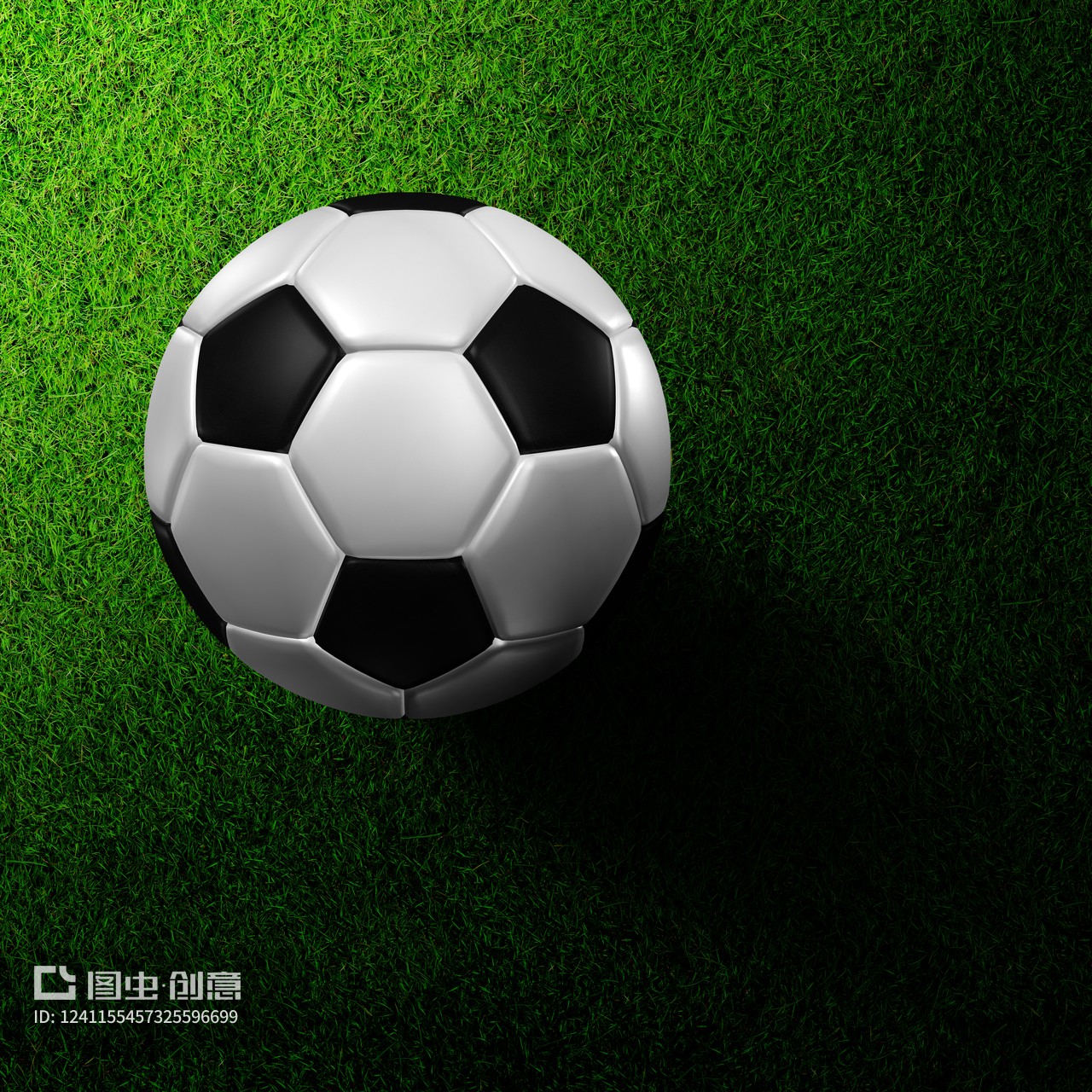 动物油熬炼设备